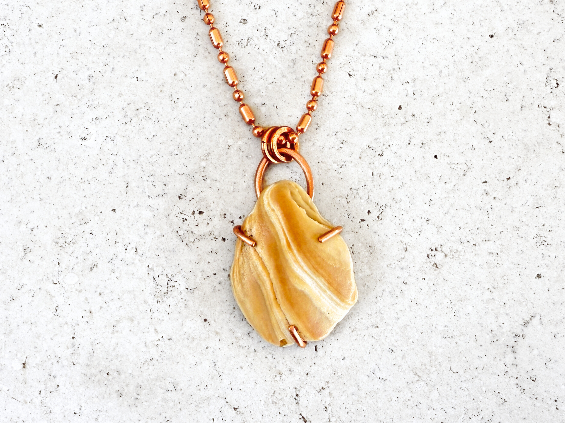 Desert Sands Shell Pendant Necklace